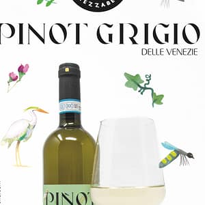Pinot Grigio BIO