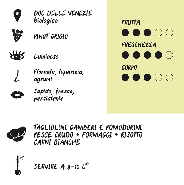 Pinot Grigio BIO - immagine 2