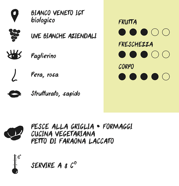 Temetum bianco BIO - immagine 2